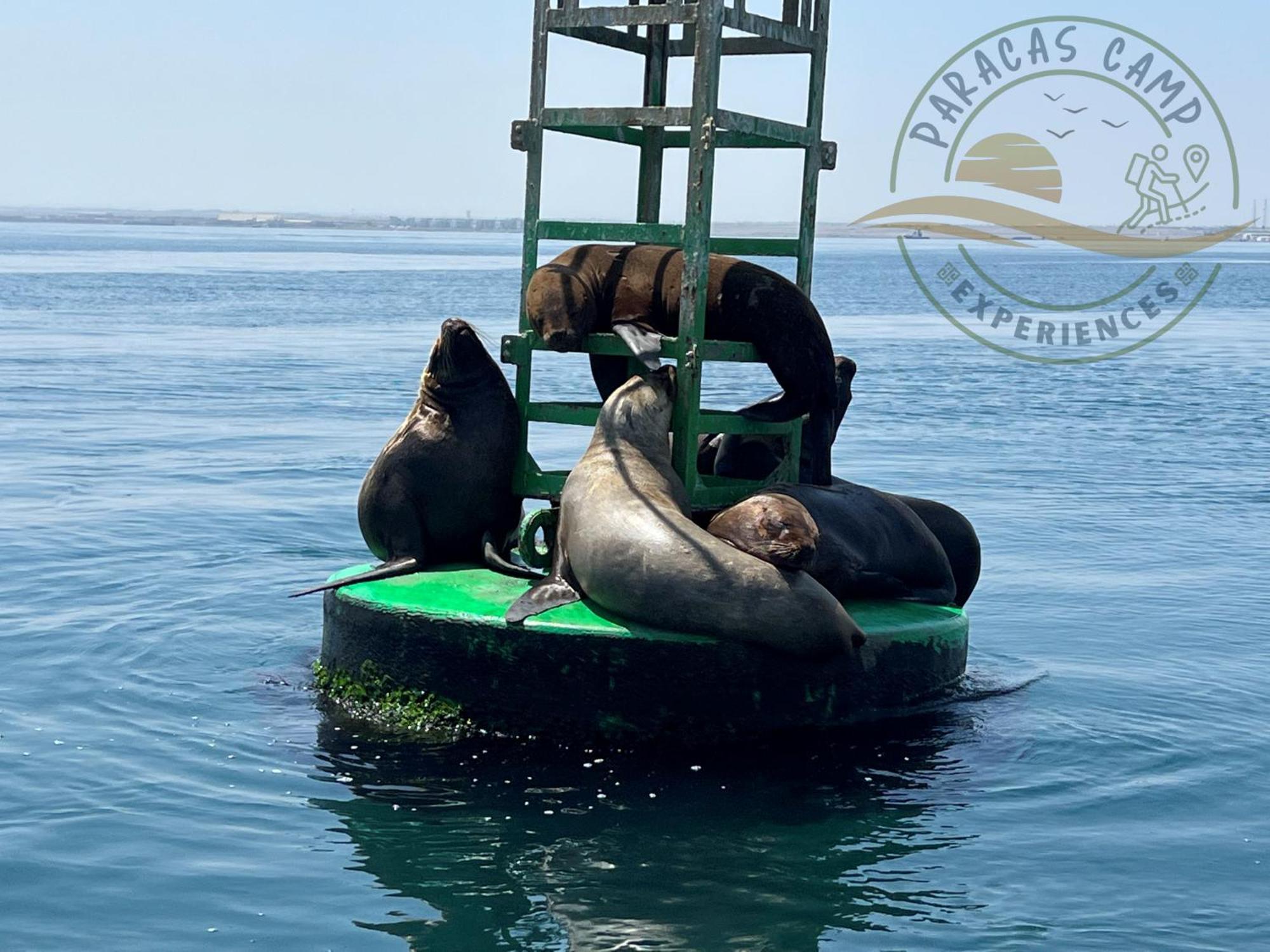 Paracas Camp Lodge & Experiences المظهر الخارجي الصورة