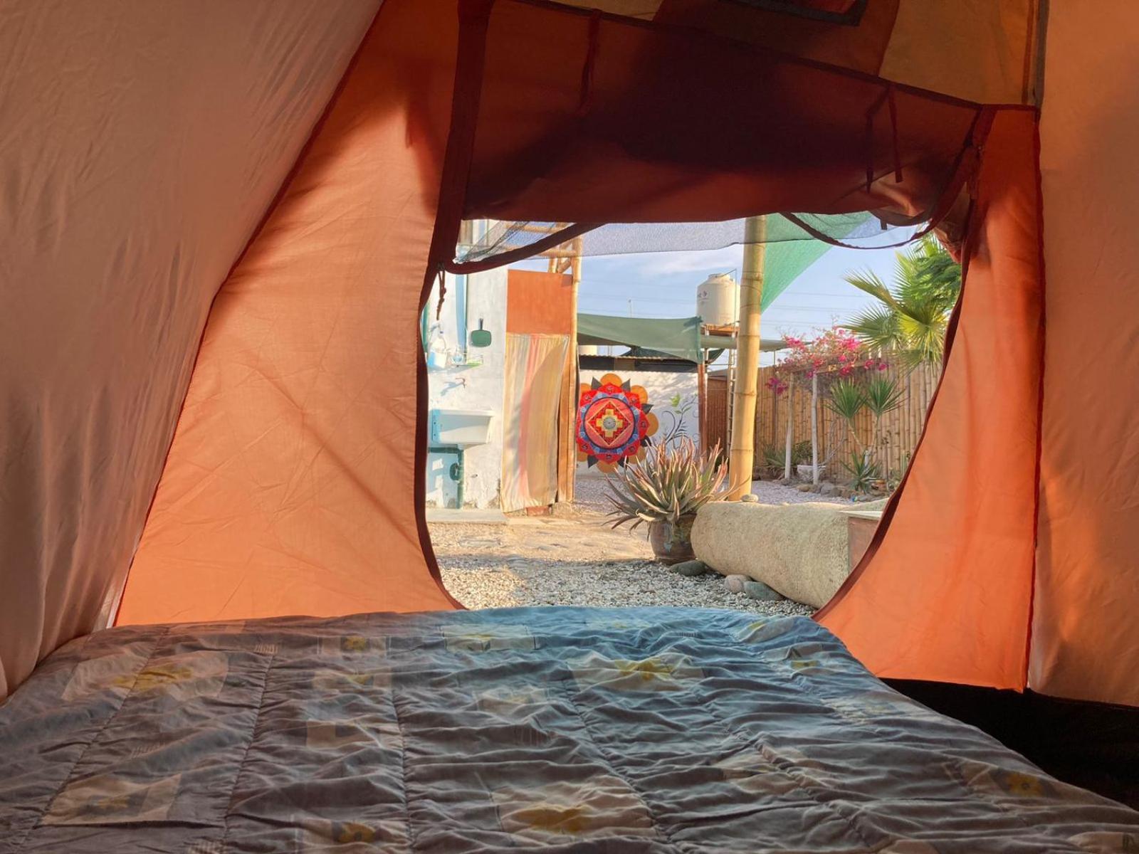 Paracas Camp Lodge & Experiences المظهر الخارجي الصورة